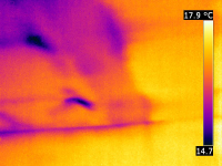A FLiR thermal image of a ceiling in a living room